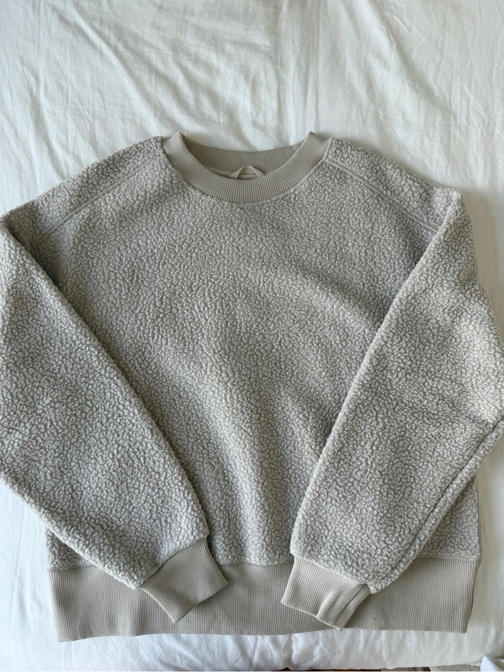 Everlane Plush Crewneck Sweatshirt Light Gray